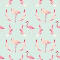 Flamingo Bird Background. Retro Seamless Pattern