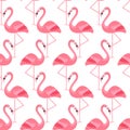 Flamingo Bird Background - Retro seamless pattern in vector Royalty Free Stock Photo