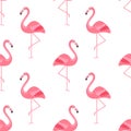 Flamingo Bird Background - Retro seamless pattern in vector Royalty Free Stock Photo