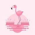 Flamingo bird cartoon on the swamp flat background vector design.