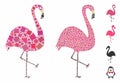 Flamingo bird Composition Icon of Trembly Elements