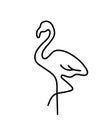 Flamingo bird line art logo silhouette isolated on white background. hand drawn vector illustration Royalty Free Stock Photo