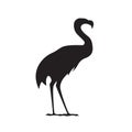 Flamingo bird silhouette. Vector wild nature illustration isolated on white background for brand logo or tattoo Royalty Free Stock Photo