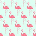 Flamingo Bird and Tropical Flowers Background - Retro seamless pattern Royalty Free Stock Photo