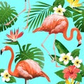 Flamingo Bird and Tropical Flowers Background Royalty Free Stock Photo