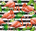 Flamingo Bird and Tropical Flowers Background Royalty Free Stock Photo