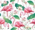 Flamingo Bird and Tropical lotus Flowers Background - Seamless pattern Royalty Free Stock Photo