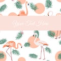 Flamingo birds green leaves sunset card template