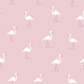 Flamingo birds on a pink background. Vector cartoon illustration. Seamless pattern for childish design