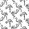 Flamingo black outline sketch seamless vector texture.