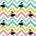 Flamingo black silhouette on abstract colorful chevron pattern seamless background illustration