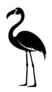 Flamingo. Black silhouette of a flamingo bird. Vector illustration Royalty Free Stock Photo