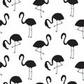 Flamingo black silhouette seamless vector texture. Royalty Free Stock Photo