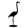 Flamingo. Black silhouette