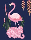 Flamingo bird vector card.