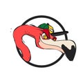 Flamingo cartoon character in a baseball cap head