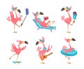 Flamingo cartoon. Cute funny exotic tropical birds in action poses exact vector flamingo