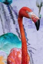 Flamingo Close Up On Multi Color Gradient Background Royalty Free Stock Photo