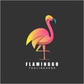 flamingo colorful logo design