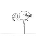 Continuous line drawing of flamingo staying on one leg, Black and white vector minimalist hand drawn