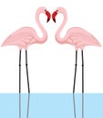 Flamingo couple