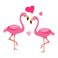 Flamingo couple.Exotic bird illustration vector.Bird couple. Royalty Free Stock Photo