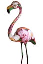 Flamingo Royalty Free Stock Photo