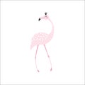 Flamingo cute print