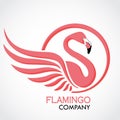 Flamingo elegant color circle frame logo