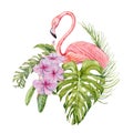 Flamingo with exotic tropical green leaves composition. Watercolor isolated on white background. Natural botanical illustration Royalty Free Stock Photo