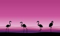 Flamingo family scene silhouettes collection