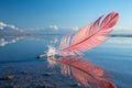 Flamingo Feather Against Blue Sky Reflected in Water Royalty Free Stock Photo
