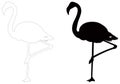 Flamingo or flamingoes silhouette - wading bird
