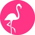 Flamingo in front of pink moon