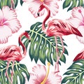 Flamingo green leaves pink hibiscus white background seamless Royalty Free Stock Photo