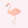 Flamingo. Hand drawn flamingo isolated on pink. Vector