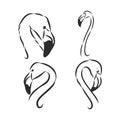 flamingo hand drawn vector llustration realistic sketch. flamingo, vector sketch illustration