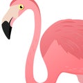 Flamingo head. Vector illustration. Poster with flamingo logo. Cute tropic exotic bird. Isolated on white background.