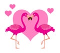 Flamingo heart lovely birds illustration Royalty Free Stock Photo