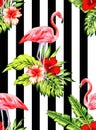 Flamingo and hibiscus tropical pattern, striped background Royalty Free Stock Photo