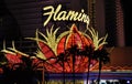 Flamingo Hotel and Casino - Las Vegas, USA