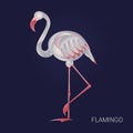 Flamingo icon logo. Vector. Tropical flat illustration. Grateful bird. Royalty Free Stock Photo