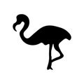 Flamingo icon vector sign and symbol isolated on white background, Flamingo logo concept Royalty Free Stock Photo