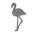 A flamingo illustration icon in black offset line. Fingerprint s