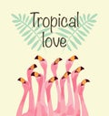 Flamingo illustration for Tropical love