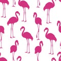 Flamingo isolated Exotic bird silhouette. Pink flamingo seamless pattern