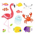 Flamingo and Jellyfish, Seagull and Crab Animals