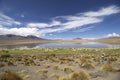 Flamingo Lake in Bolivia Royalty Free Stock Photo