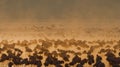 Flamingo on the lake early in the morning in fog. Soft Image. Kenya. Africa. Nakuru National Park. Lake Bogoria National Reserve. Royalty Free Stock Photo