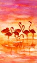 Flamingo on lake and sunset Royalty Free Stock Photo